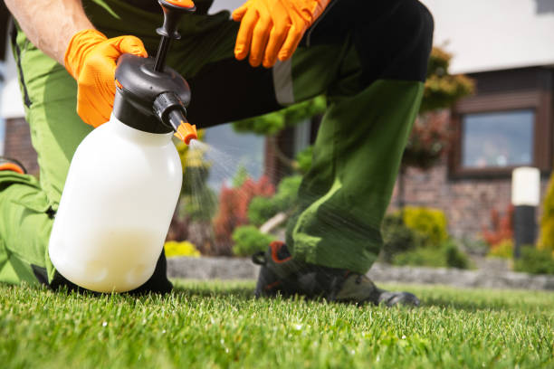 Pest Prevention Services in Hallowell, ME